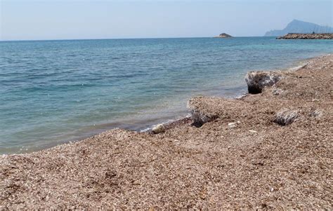 Playa de la Solsida